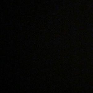 Meet your Posher, Pat